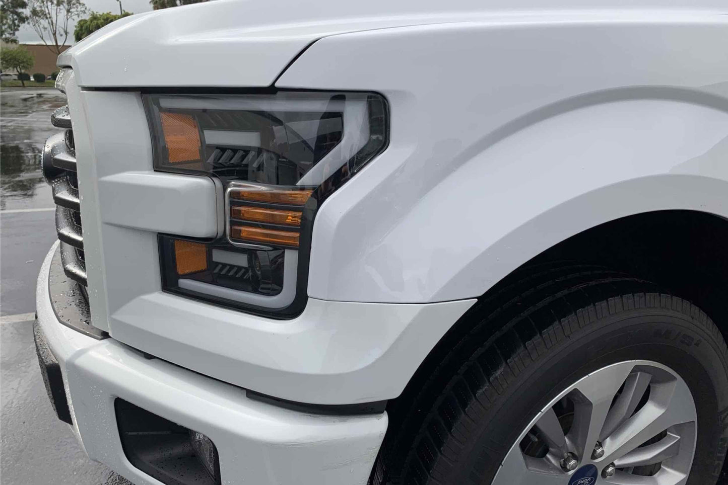 ARex (PRO-Series) Halogen Headlights: Ford F150 (15-17) - Black (Set)